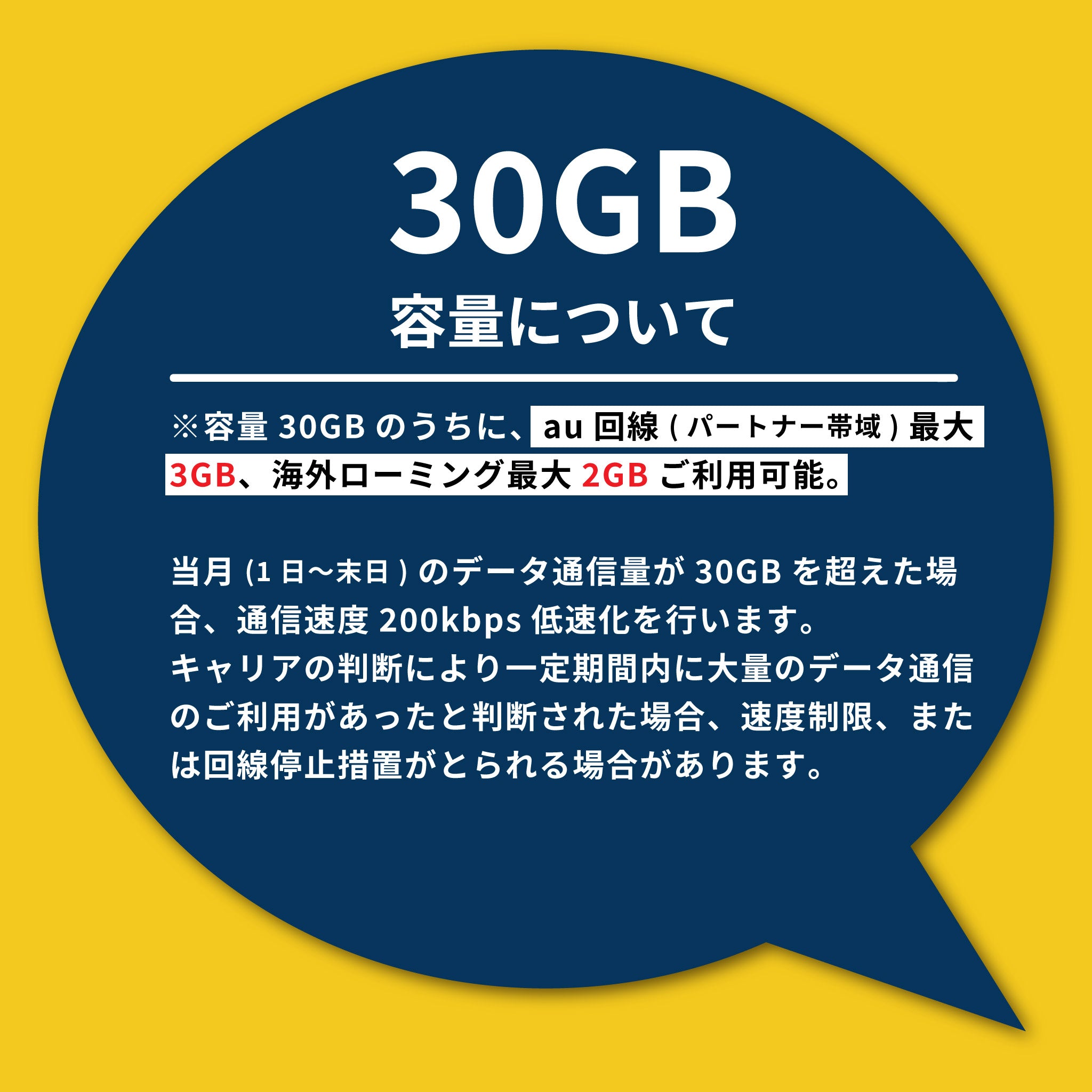 Rakuten Prepaid SIM 30GB